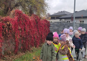 Pamiętamy... Wiewiórki na cmentarzu!