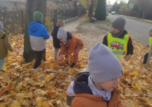 Jesienny spacer Sówek!