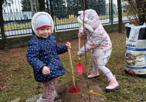 Zajączki sadzą jabłonie!