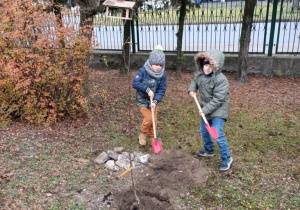 Zajączki sadzą jabłonie!