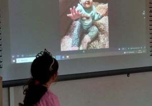 Urodziny Montessori dla Zosi z Zajączków!