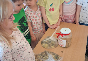 GORĄCZKA ZŁOTA PCK nadal trwa!