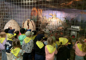 Dinozaury, bajki i lód – czyli szalona wyprawa Sówek i Niedźwiadków!