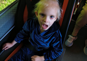 Niedźwiadki- wizyta w lesie, akcja GIGA LAURKA!