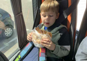 Zajączki w sklepie CASTORAMA w Skierniewicach!