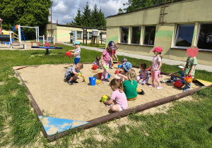 Niedźwiadki- zwierzęta egzotyczne!