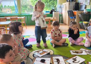 Niedźwiadki- zwierzęta egzotyczne!