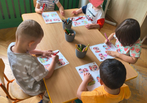 Niedźwiadki- zwierzęta egzotyczne!