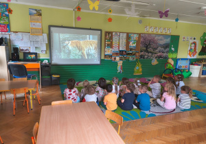 Niedźwiadki- zwierzęta egzotyczne!