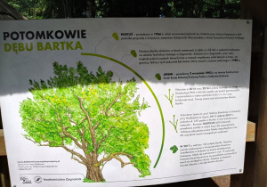 Janek z Niedźwiadków w Zagnańsku i Oblęgorku!
