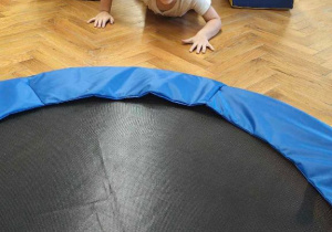 Ślimaczki wcale nie są takie powolne!