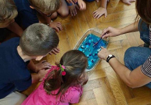Pierwsza LEKCJA CISZY Ślimaczków!
