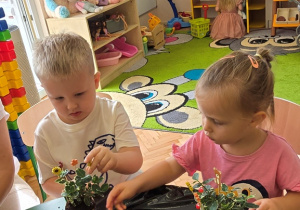 Dzień Przedszkolaka w Niedźwiadkach!