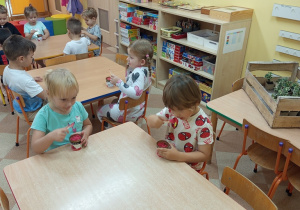 Zdjęcie 2 na 17