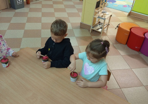 Zdjęcie 4 na 17