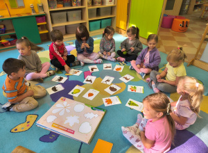 Sówki- klasyfikacja pór roku- co do nich pasuje?