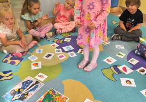 Sówki- klasyfikacja pór roku- co do nich pasuje?