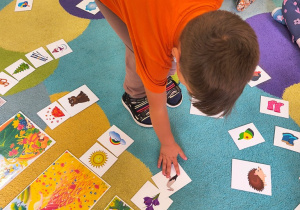 Sówki- klasyfikacja pór roku- co do nich pasuje?