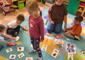 Sówki- klasyfikacja pór roku- co do nich pasuje?