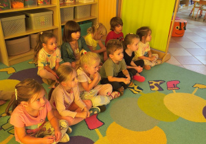 Sówki- klasyfikacja pór roku- co do nich pasuje?