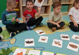 Sówki- dary jesieni!