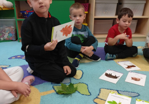 Sówki- dary jesieni!