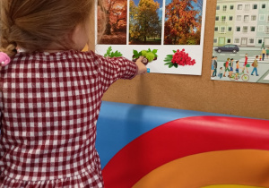 Sówki- dary jesieni!