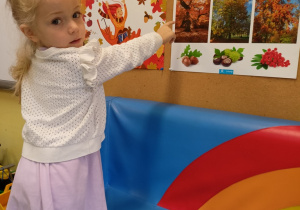 Sówki- dary jesieni!