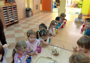 Sałatka owocowa w wykonaniu dzieci z grupy „Sówki"!