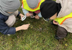 Wiewiórki- zajęcia „Mały Eksperymentator" w plenerze!