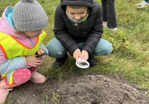 Wiewiórki- zajęcia „Mały Eksperymentator" w plenerze!