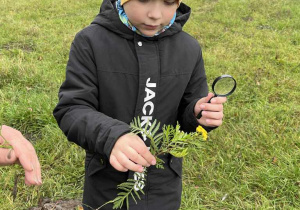 Wiewiórki- zajęcia „Mały Eksperymentator" w plenerze!
