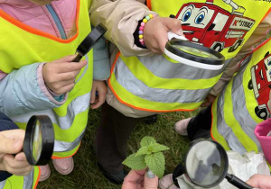 Wiewiórki- zajęcia „Mały Eksperymentator" w plenerze!
