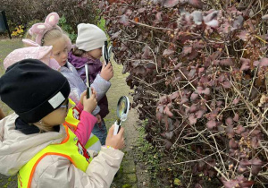 Wiewiórki- zajęcia „Mały Eksperymentator" w plenerze!