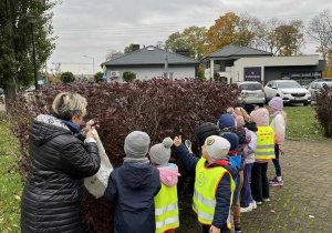 Wiewiórki- zajęcia „Mały Eksperymentator" w plenerze!
