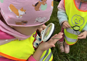 Wiewiórki- zajęcia „Mały Eksperymentator" w plenerze!