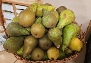 Jabłko i gruszka w roli głównej- owocowy dzień Niedźwiadków!