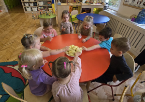Jabłko i gruszka w roli głównej- owocowy dzień Niedźwiadków!