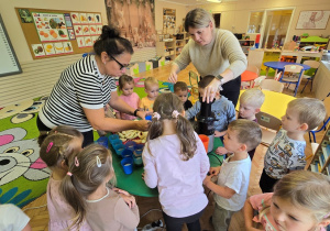 Jabłko i gruszka w roli głównej- owocowy dzień Niedźwiadków!