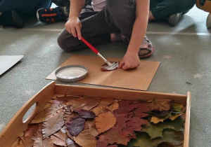 Jesienna lekcja ciszy "Ślimaczków"!