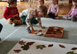 Jesienna lekcja ciszy "Ślimaczków"!