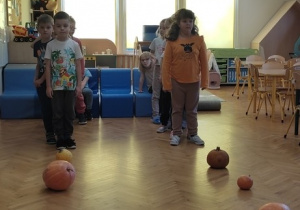 Dynia w roli głównej w „Jeżykach”!