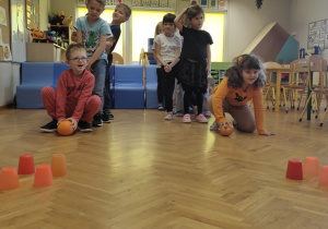 Dynia w roli głównej w „Jeżykach”!