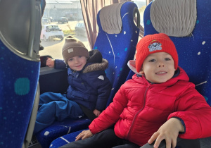 Niedźwiadki pierwszy raz w kinie!