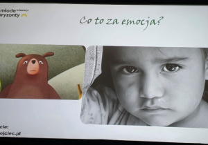 Niedźwiadki pierwszy raz w kinie!