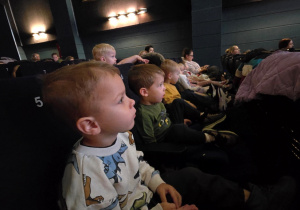 Niedźwiadki pierwszy raz w kinie!