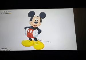 Niedźwiadki pierwszy raz w kinie!