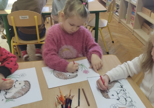 Dzień Jeża w Jeżykach!