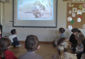 Dzień Jeża w Jeżykach!