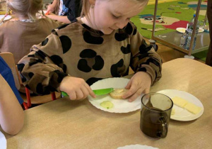 MÓJ TALERZYK – MOJA SPRAWA – samodzielność